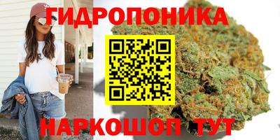 мдпв Рязань