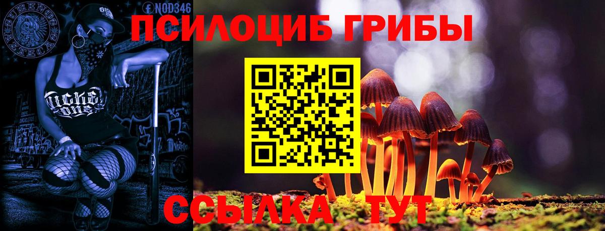 Галлюциногенные грибы GOLDEN TEACHER Озёрск